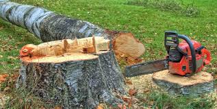 Best Tree Disease Treatment  in Buena Vista, VA