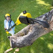 Best Lawn Mowing  in Buena Vista, VA